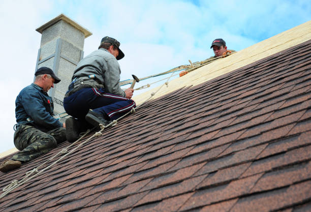 Best Roof Gutter Cleaning  in Emerd Mountain, AL
